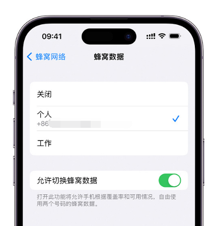 高州苹果维修服务分享如何在iPhone上使用双卡 